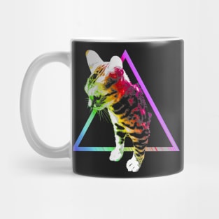 Rainbow Triangle Cat Mug